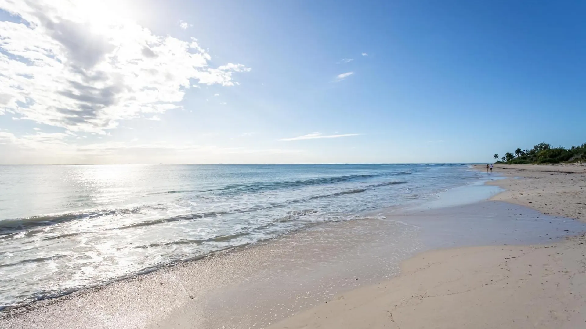 Apartment Casa Marbella Ocean View Penthouse Apts Playa del Carmen Mexico